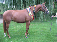 Wanda with her 2009 foal, Ballet Time